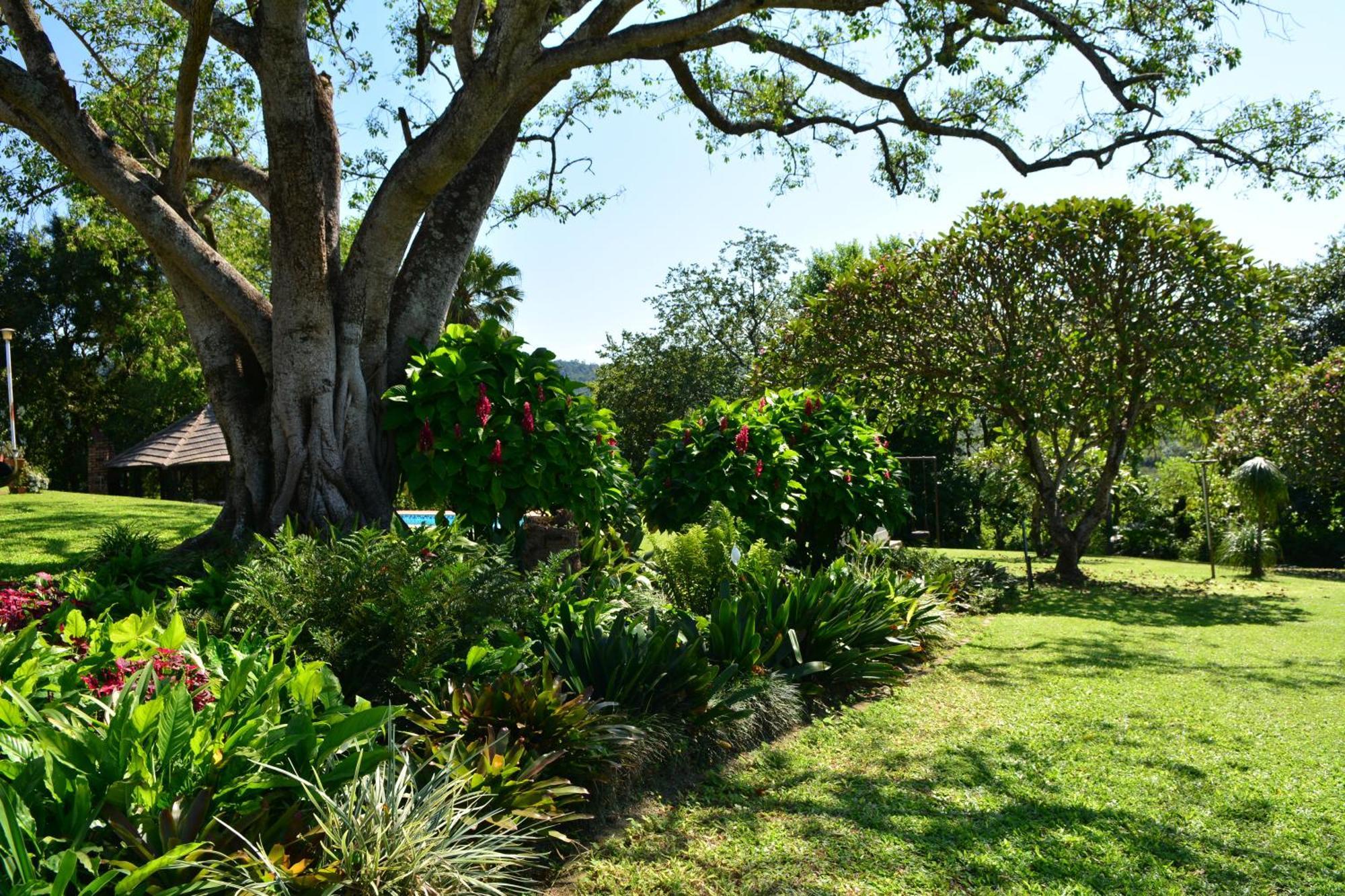 Oppi Plaas Villa Hazyview Bagian luar foto